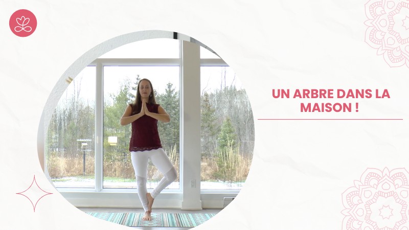 Jour 5 - Un arbre dans la maison !